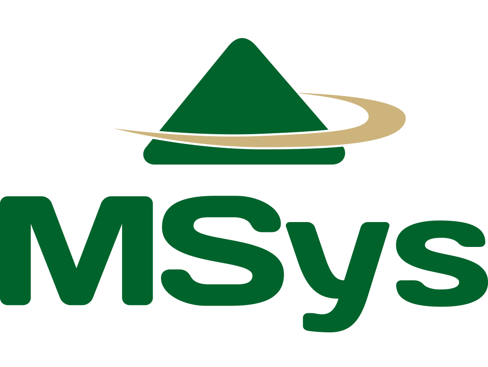 MSys Consultoria